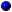 BlueDot